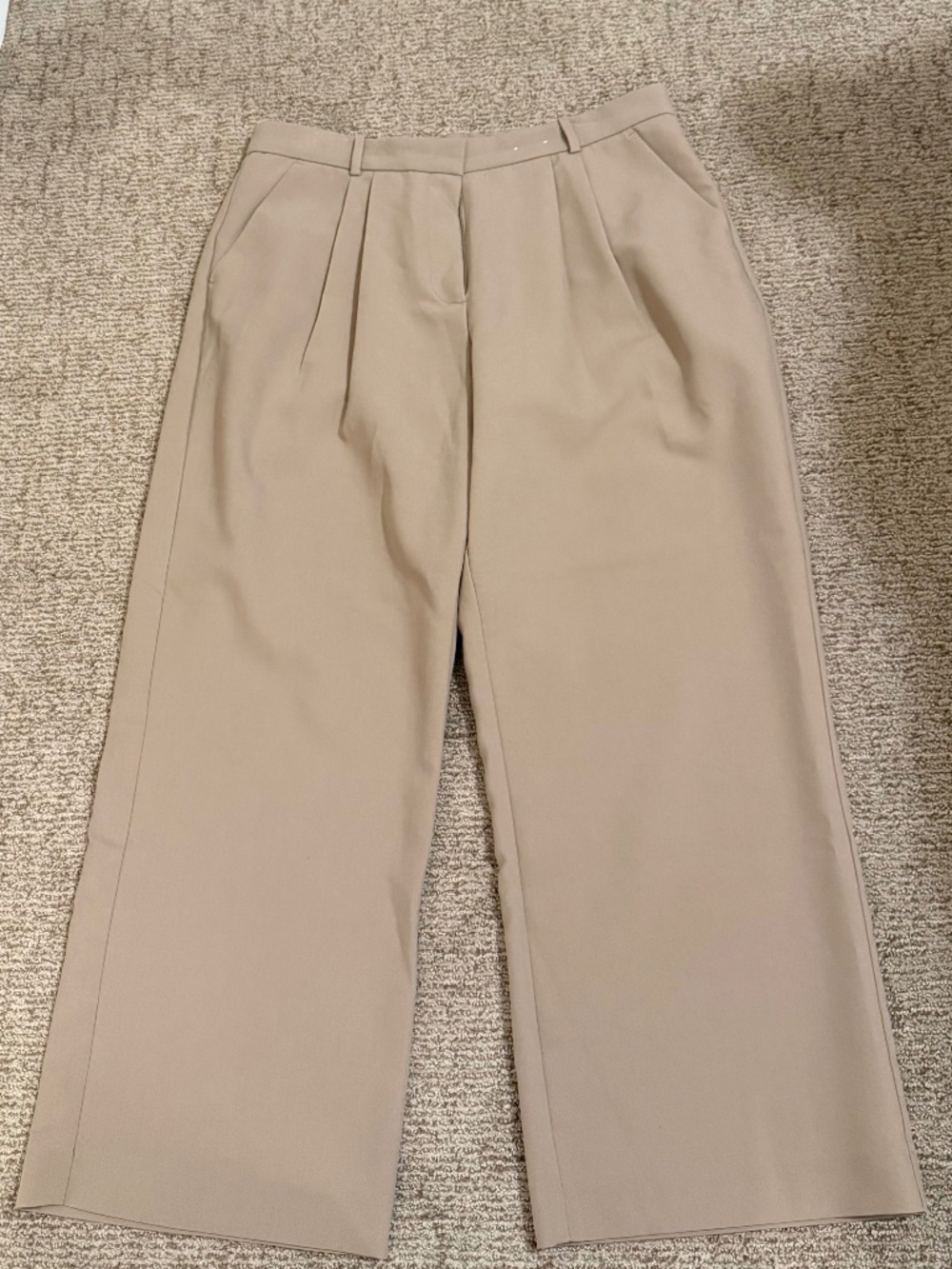 Abercrombie & Fitch Curve Love Sloane Wide Leg Pants in Size 33 Short in Taupe
